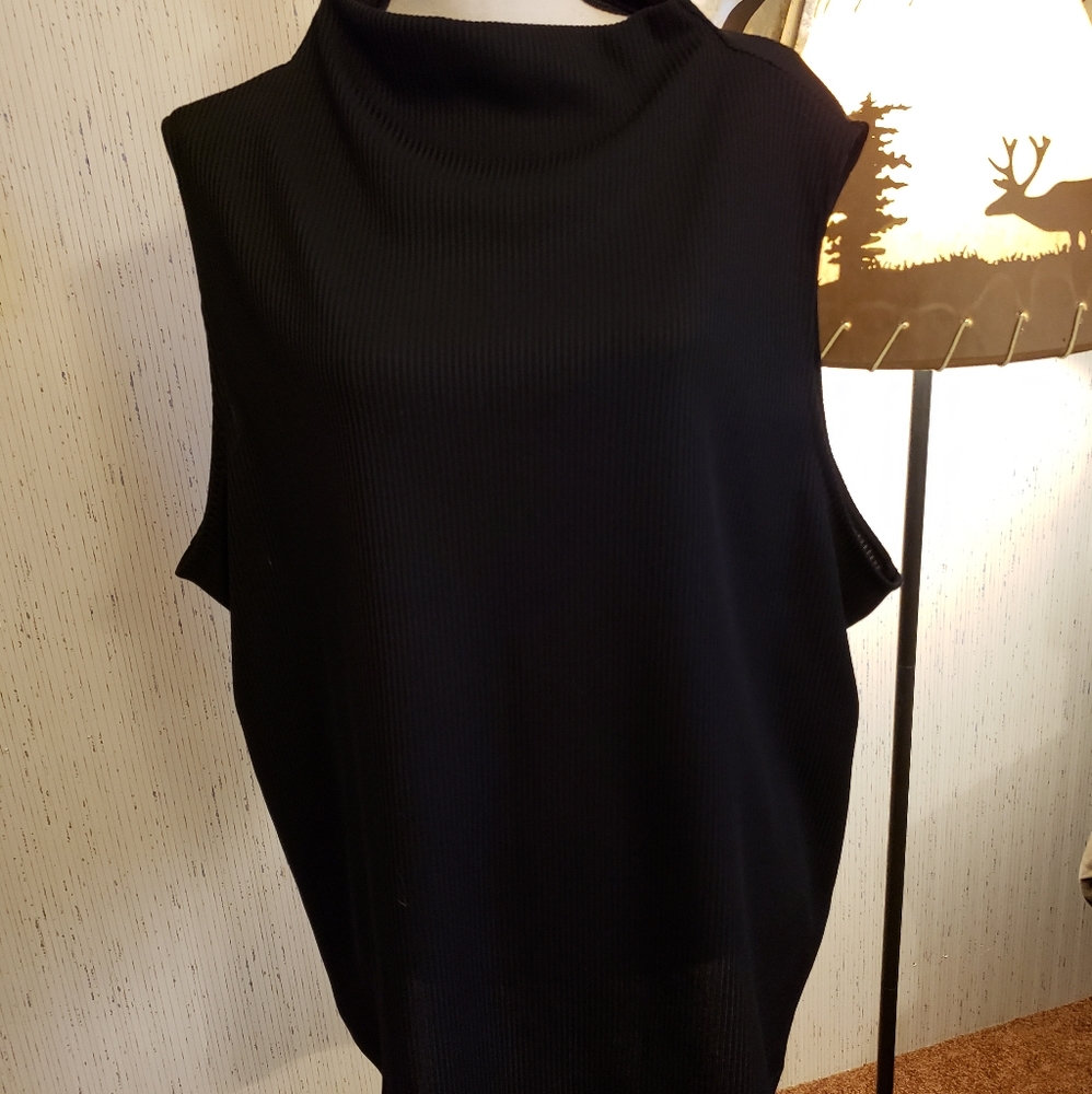 Sleeveless turtleneck